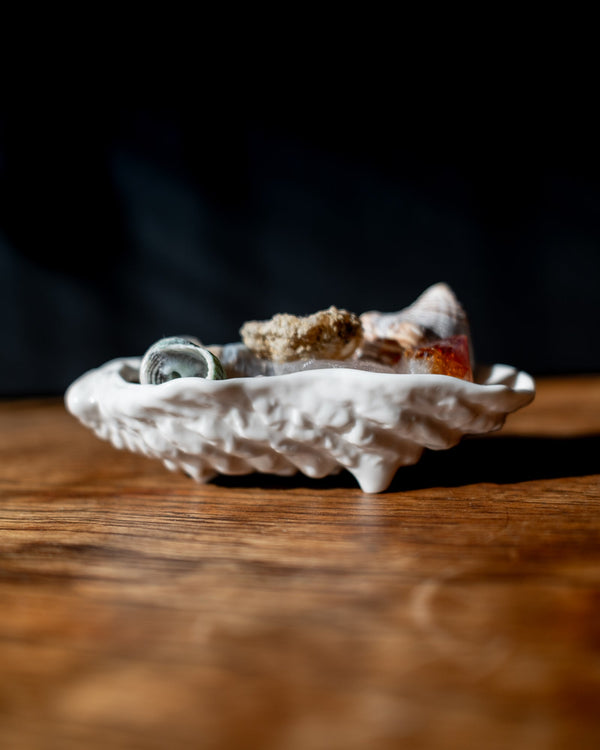 Shell Tray 9