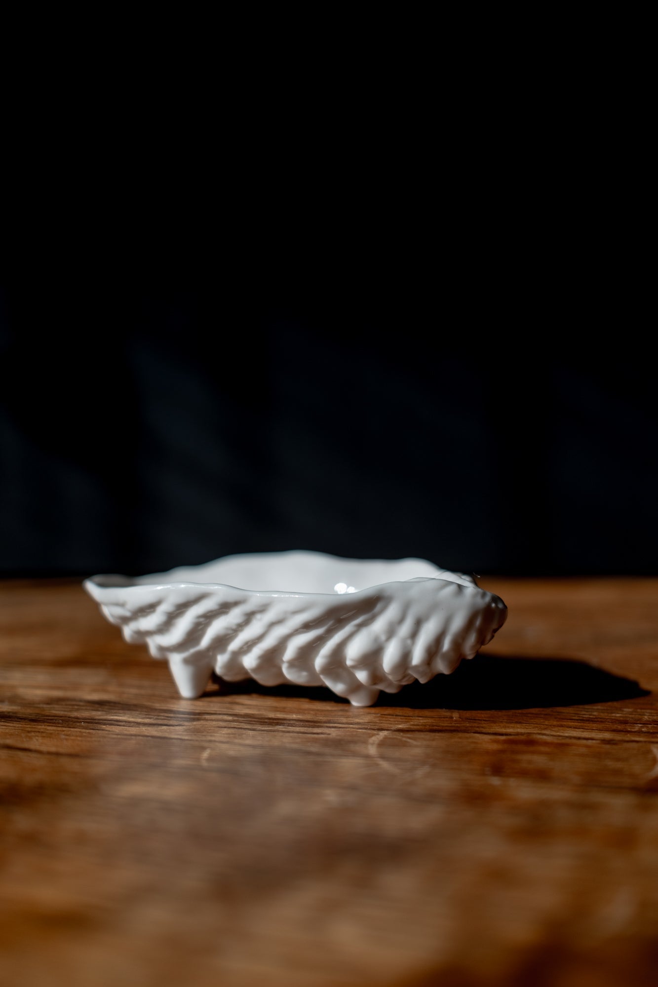 Shell Tray 2