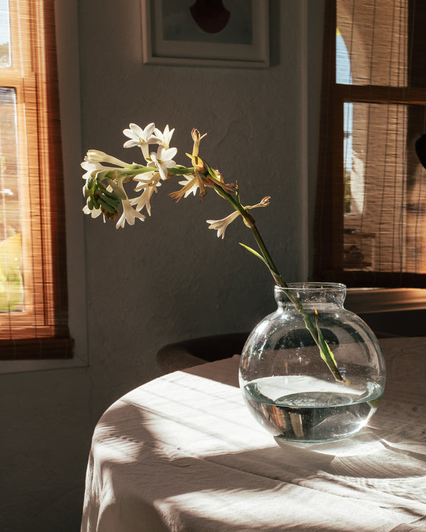 Clear vase with a single white flower on a table in a softly lit room.