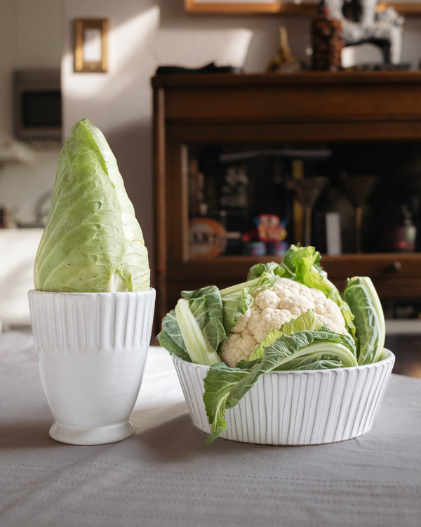 Lines Pasta Bowl in Milk White - Set of 4