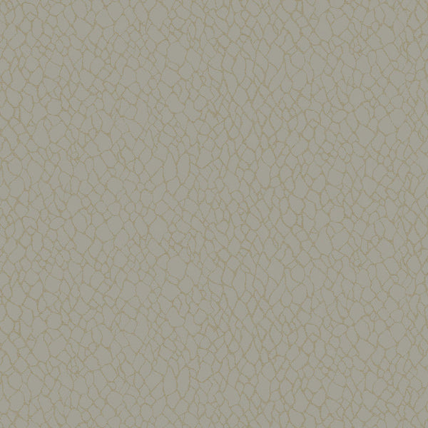 Webbing Geometric Wallpaper in Beige