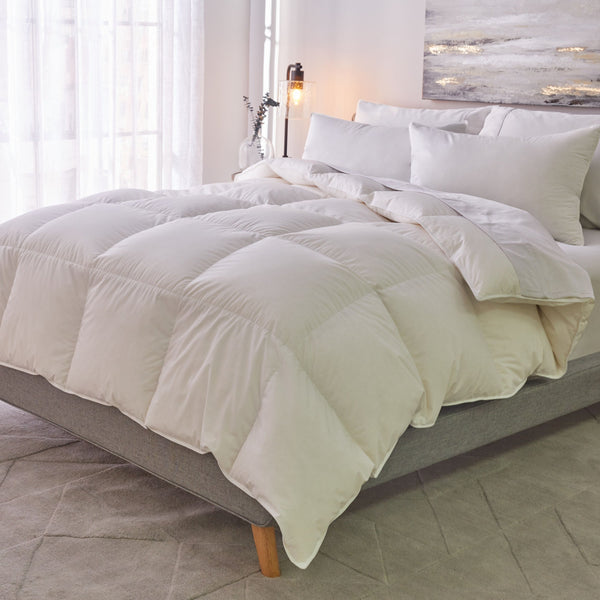 Down Alternative Comforter Cb7T00A 1