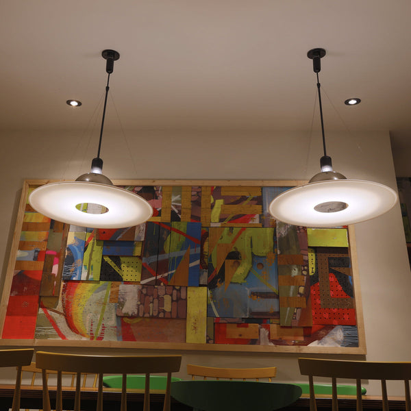 Frisbi Plastic and steel Pendant Lighting in Various Colors