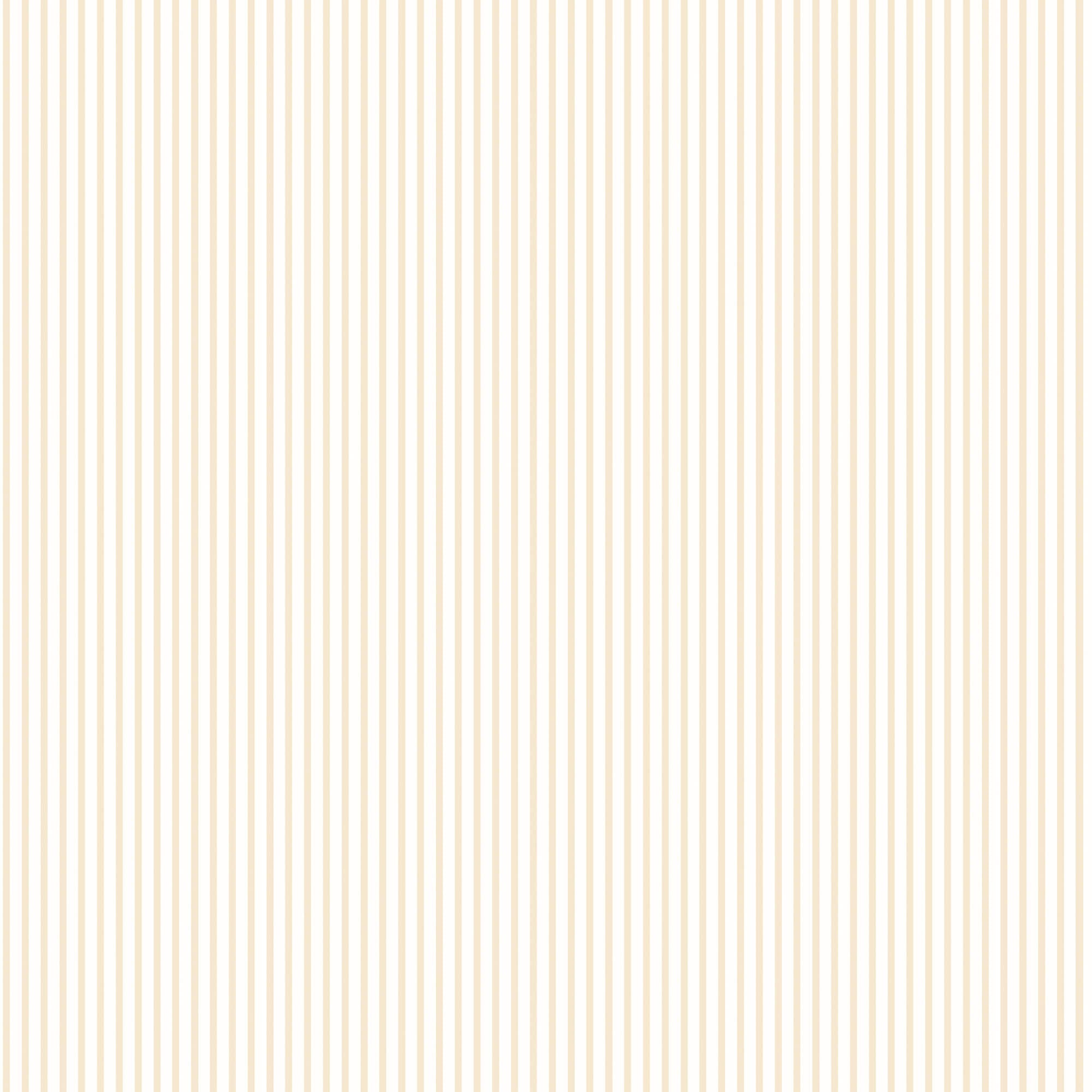 Candy Stripe Beige Wallpaper from the Small Prints Collection by Galerie Wallcoverings