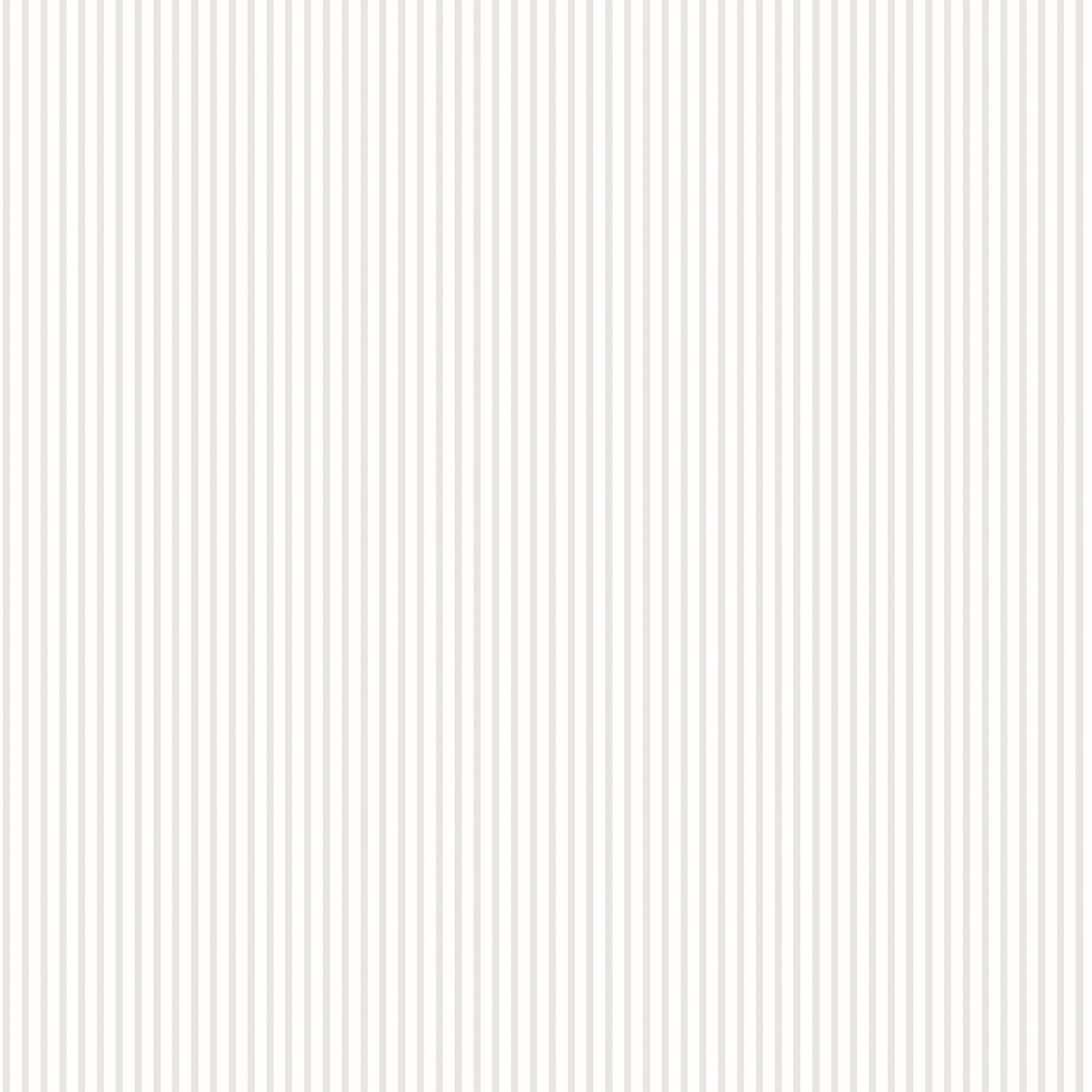 sample candy stripe grey wallpaper from the small prints collection by galerie wallcoverings 1