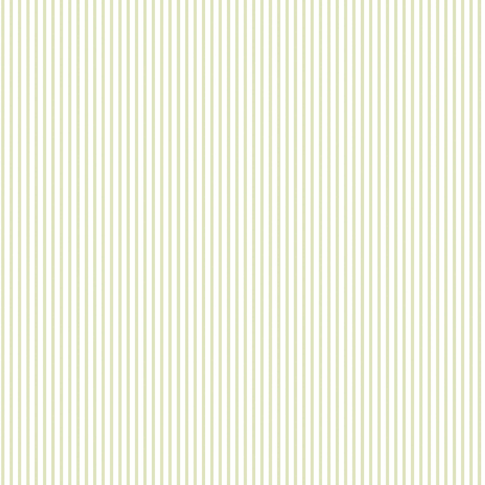 Candy Stripe Sage Wallpaper from the Small Prints Collection by Galerie Wallcoverings