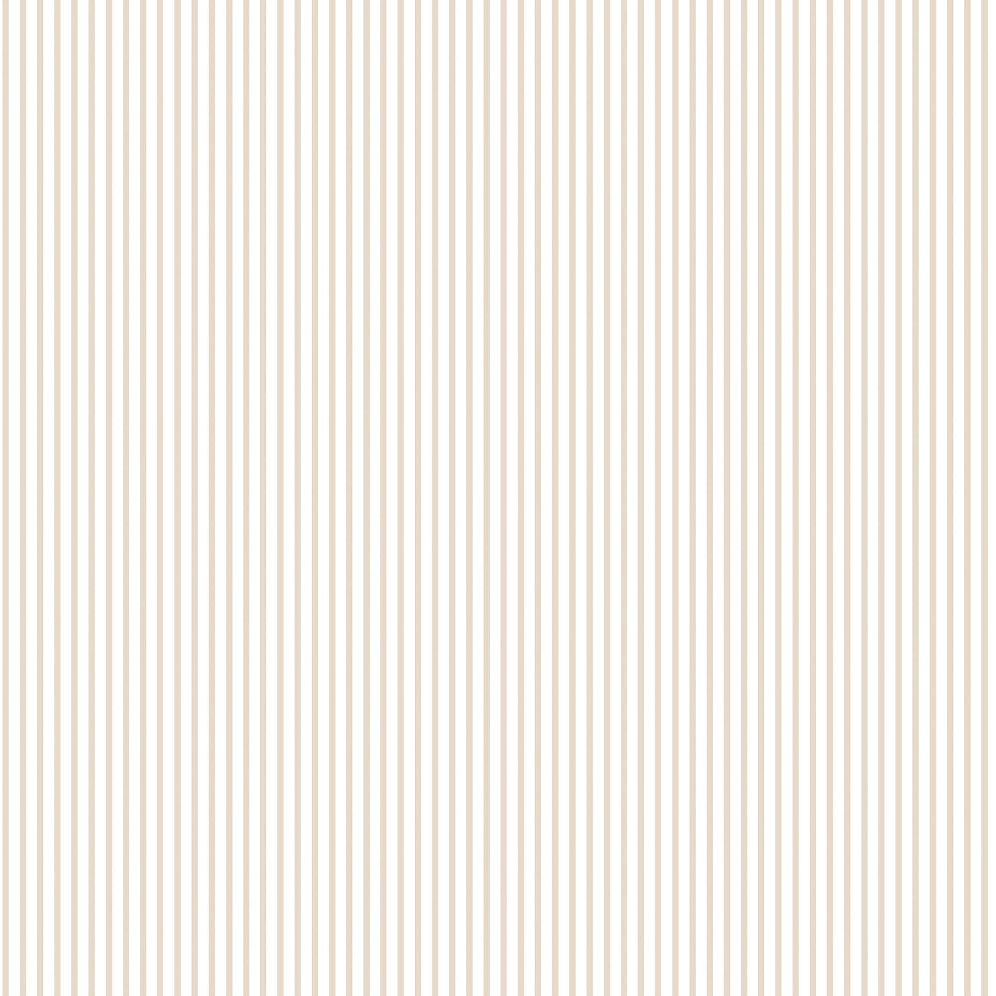 Candy Stripe Taupe Wallpaper from the Small Prints Collection by Galerie Wallcoverings