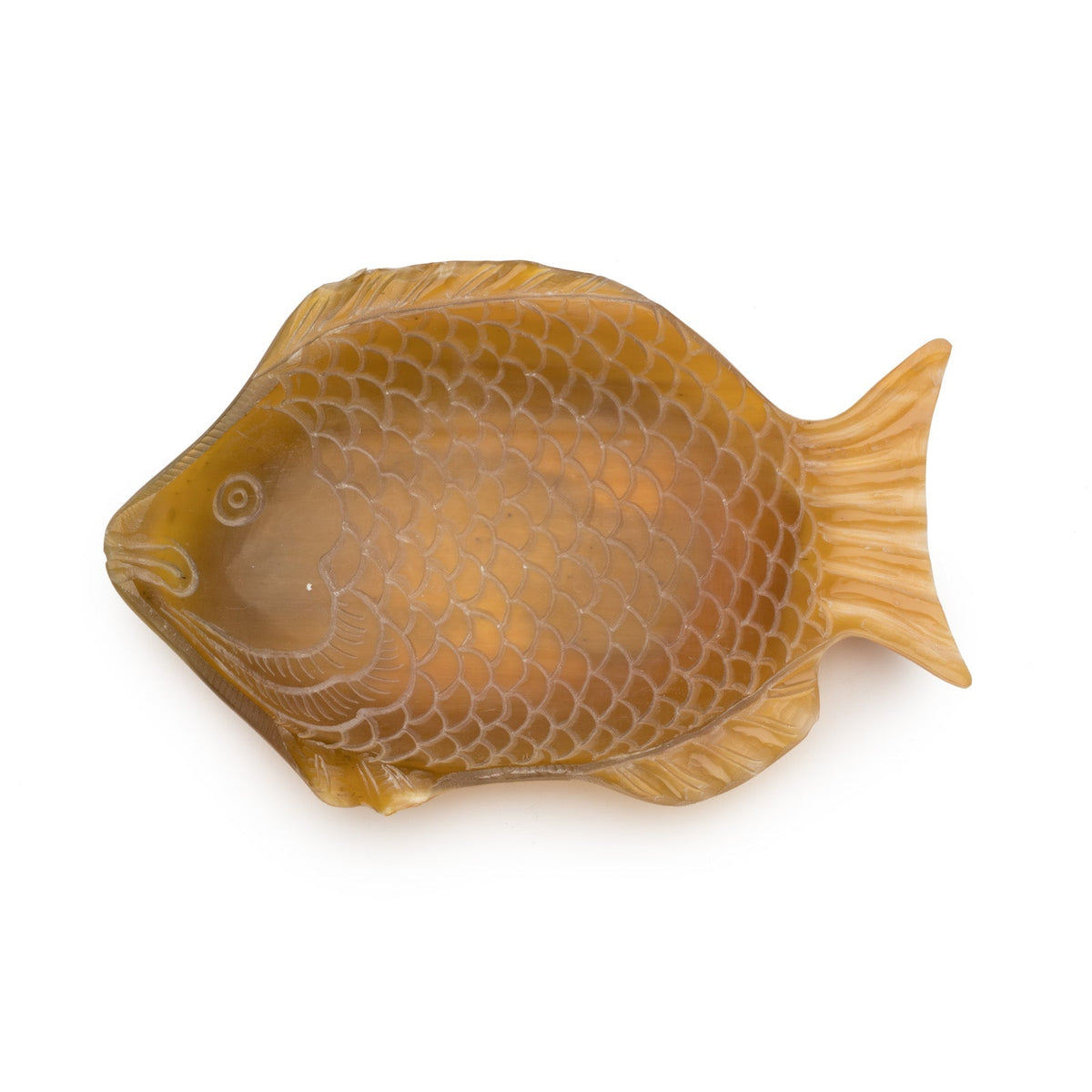 Medium Fish Dish design by Siren Song