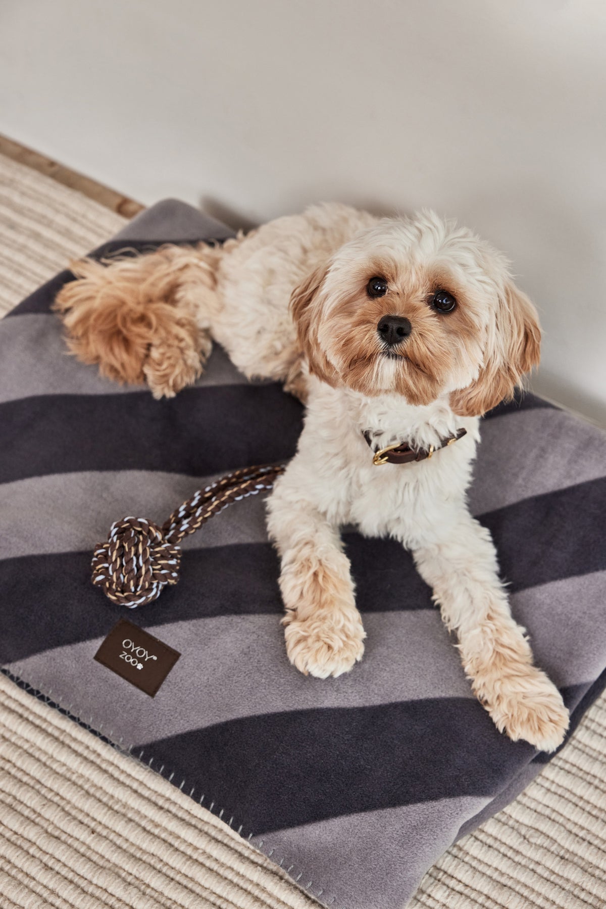kaya dog blanket medium 4