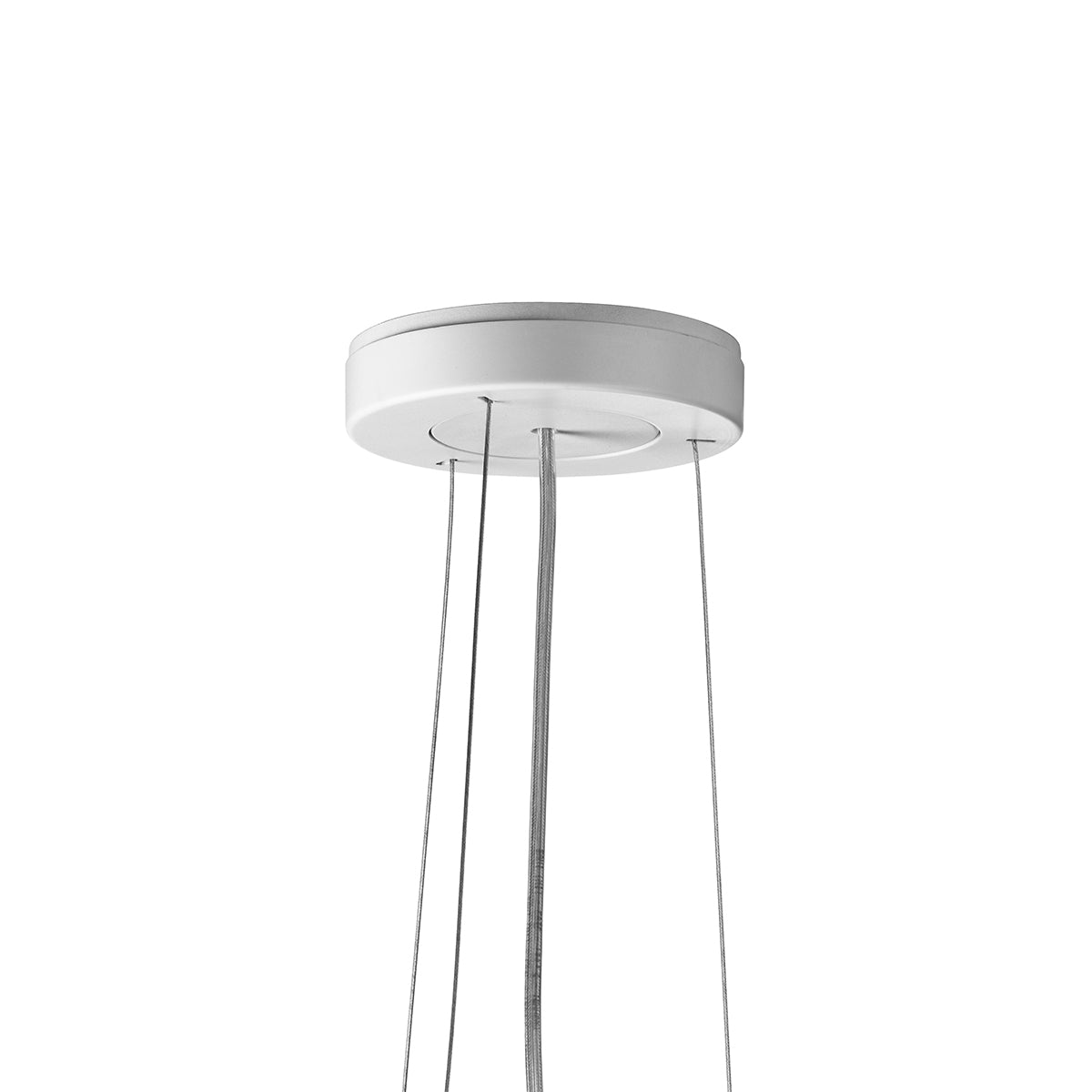 Ktribe PMMA Pendant Lighting in Various Colors & Sizes