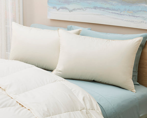 Cotton Lanadown Pillow P3S91F 2