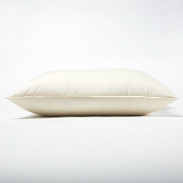 Cotton Lanadown Pillow P3S91F 1