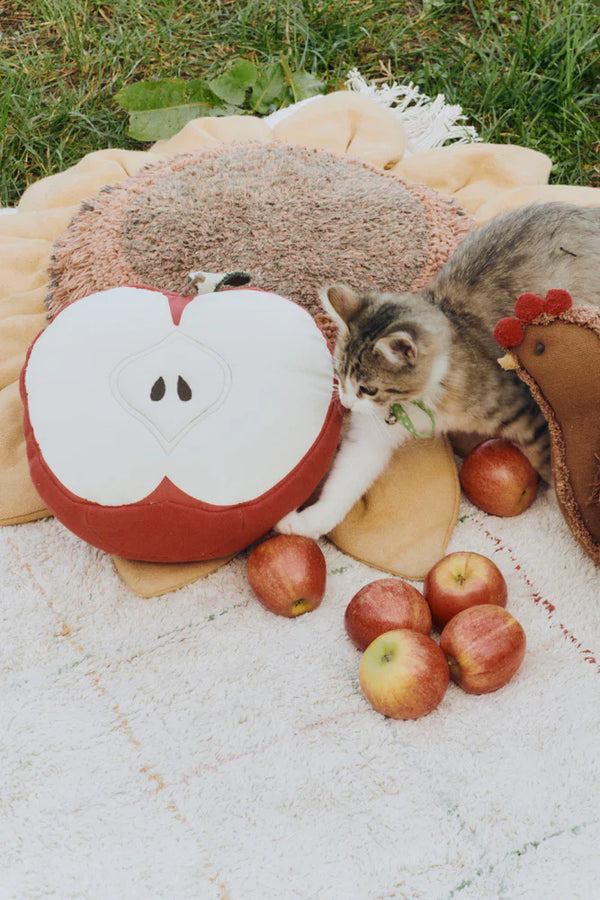 Cushion Apple Lorena Canals Sc Apple 3