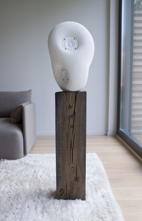acoustic sculpture speaker by transparent 4