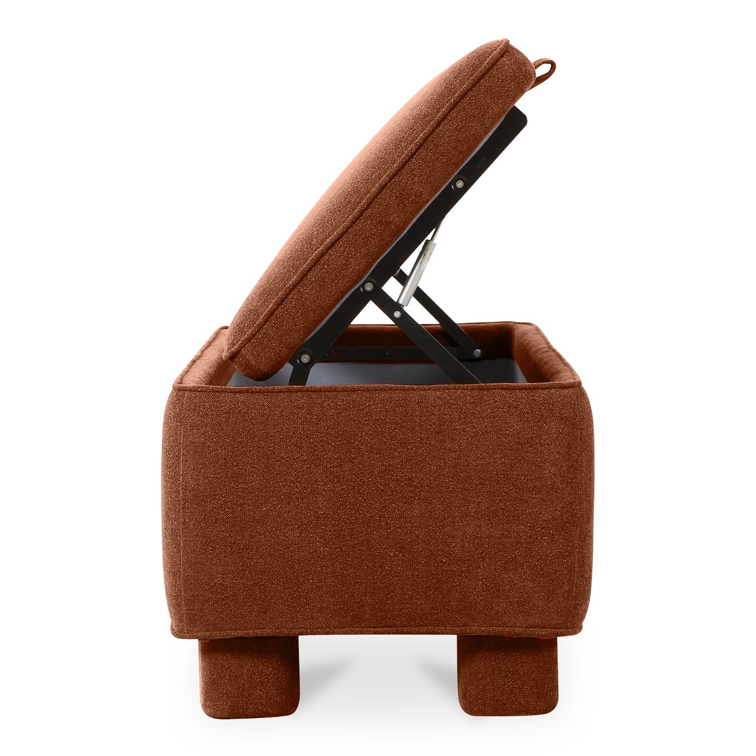 Ichigo Storage Bench 10