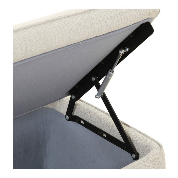 Ichigo Storage Bench 11