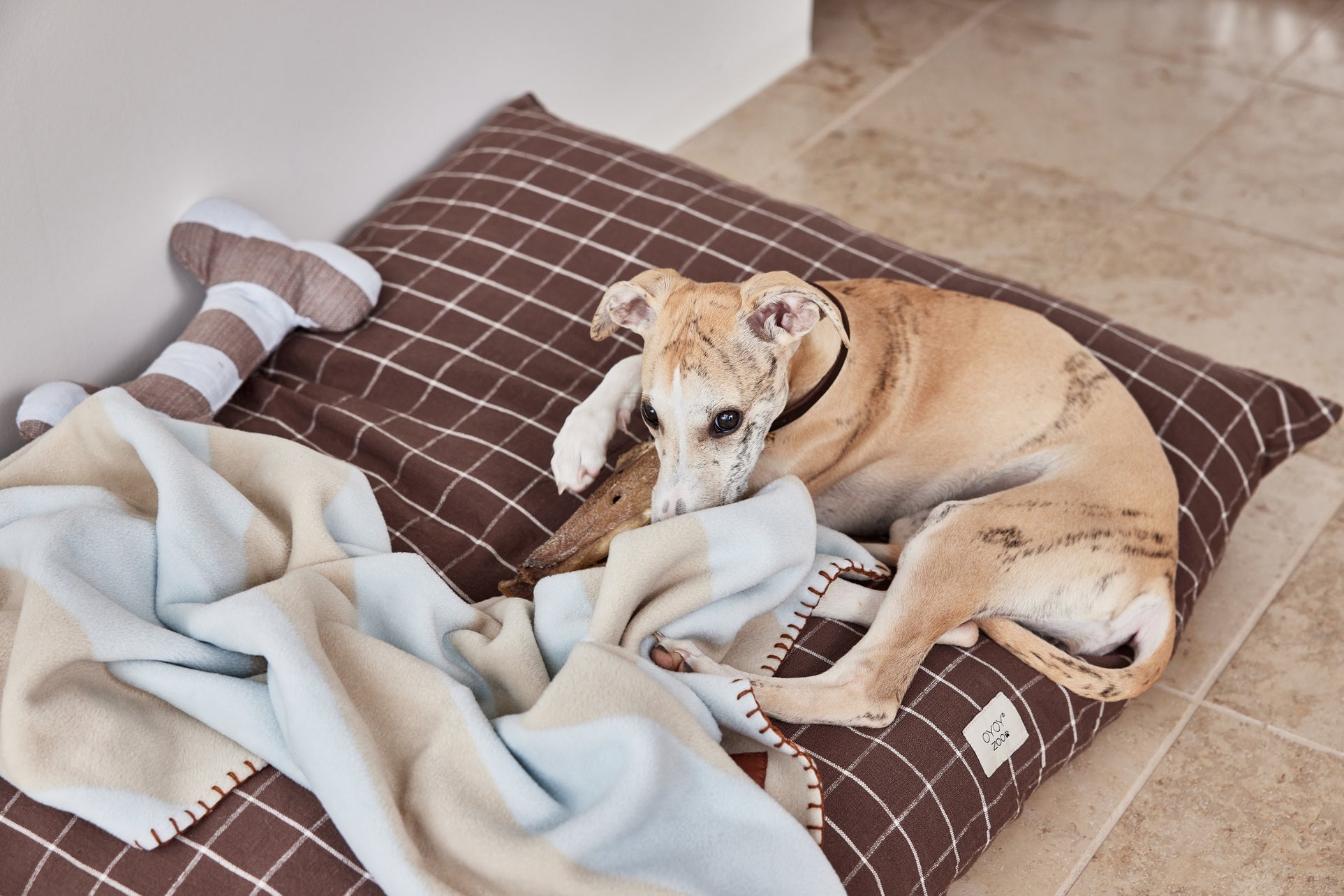 kaya dog blanket large 6