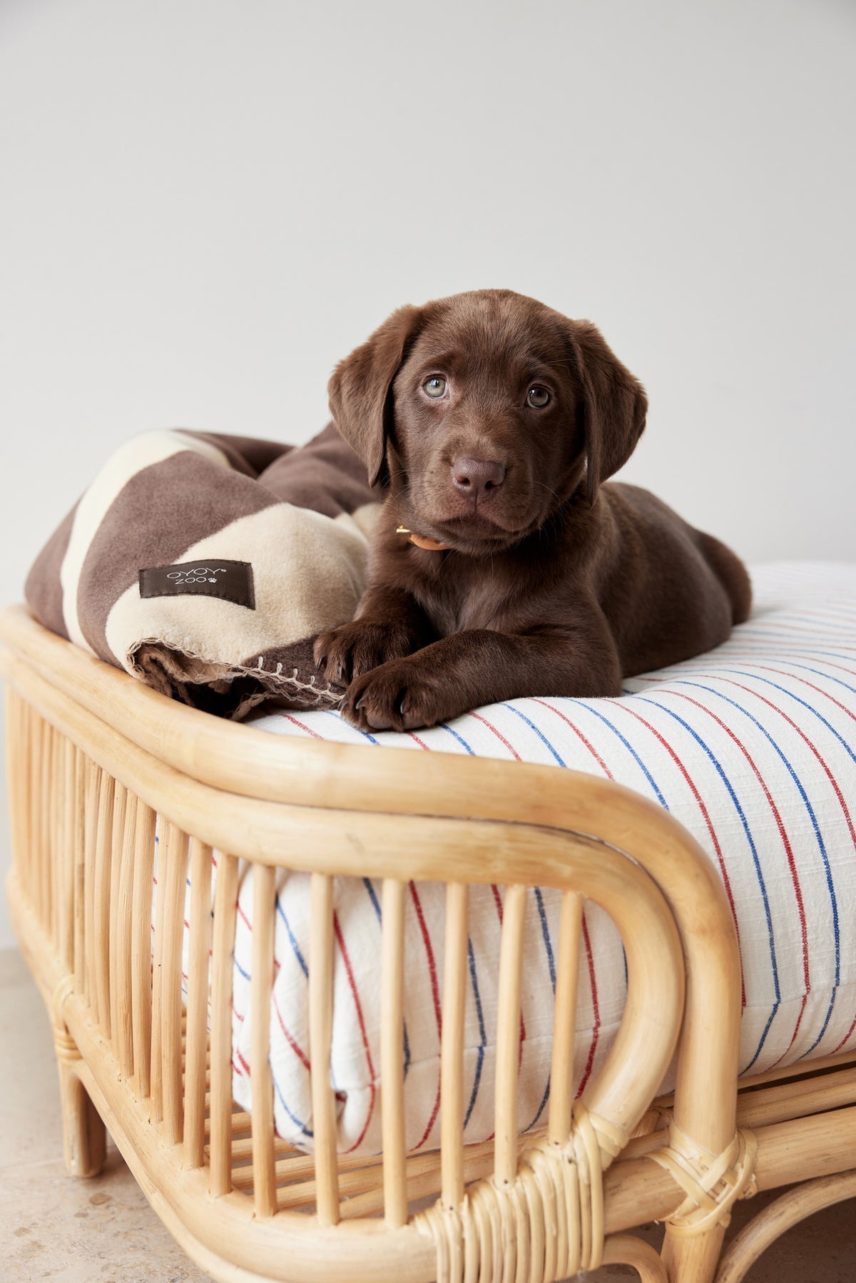 otto dog bed 7
