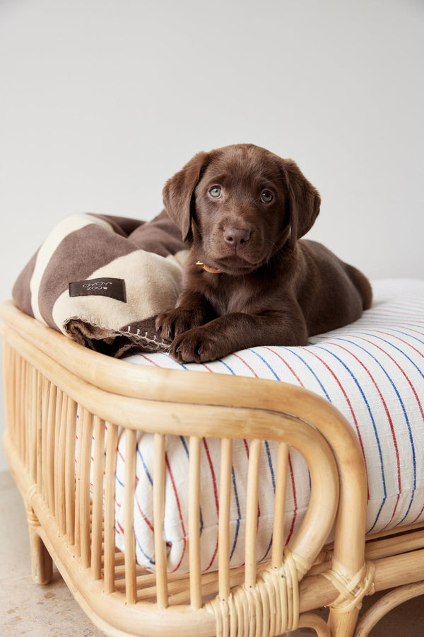 otto dog bed 7