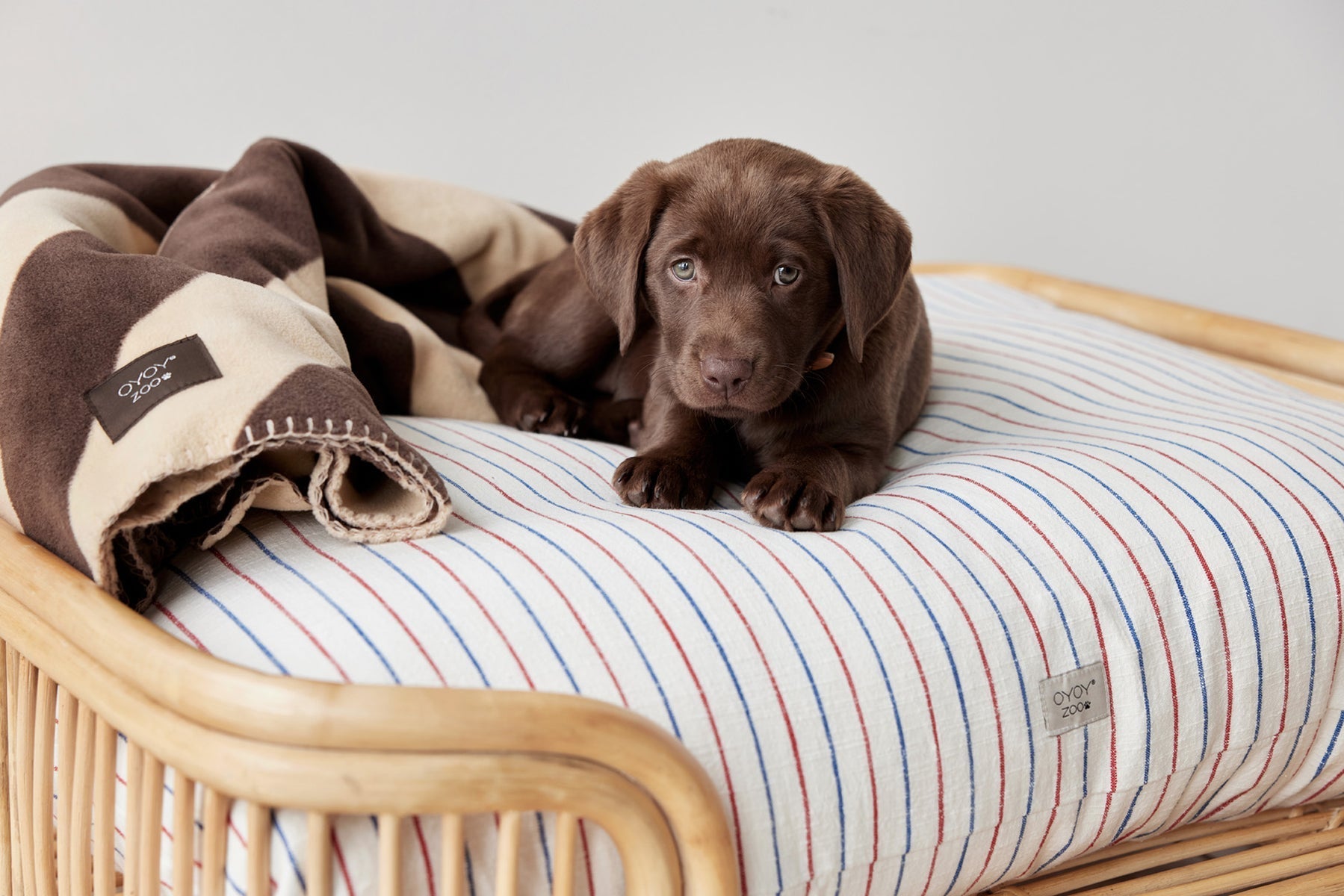 otto dog bed 9