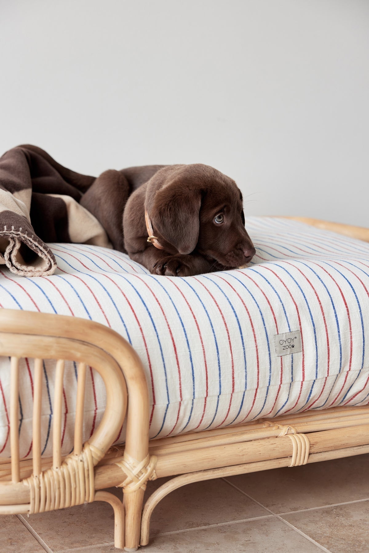 otto dog bed 8