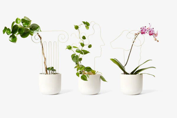plant trellis 14