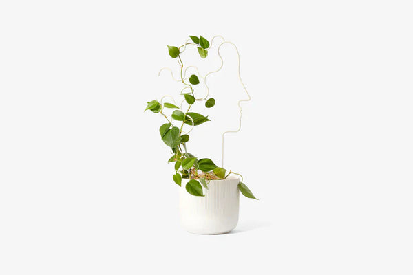 Green Thumb Gift Set