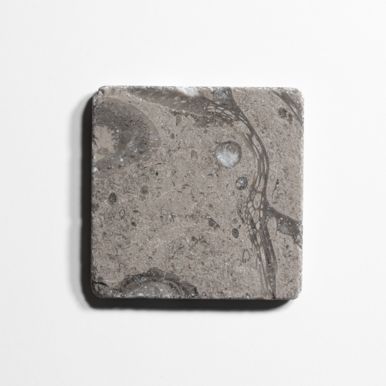 sage gray tile by Designer Rug sg44t 6