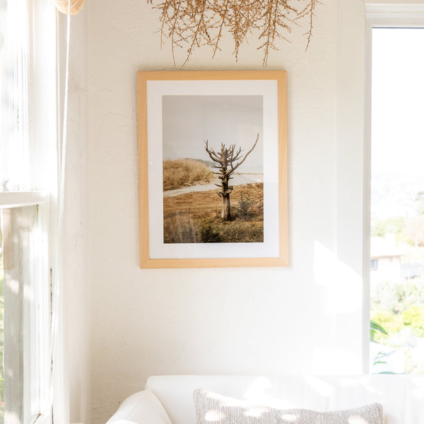 Lone Tree Framed Print