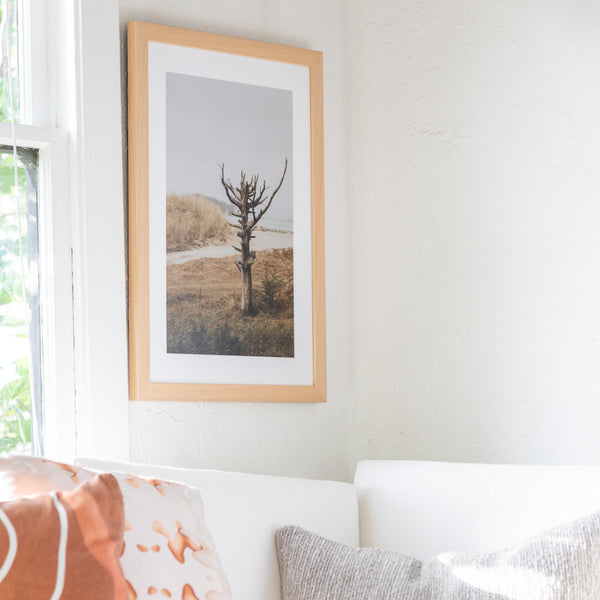 Lone Tree Framed Print