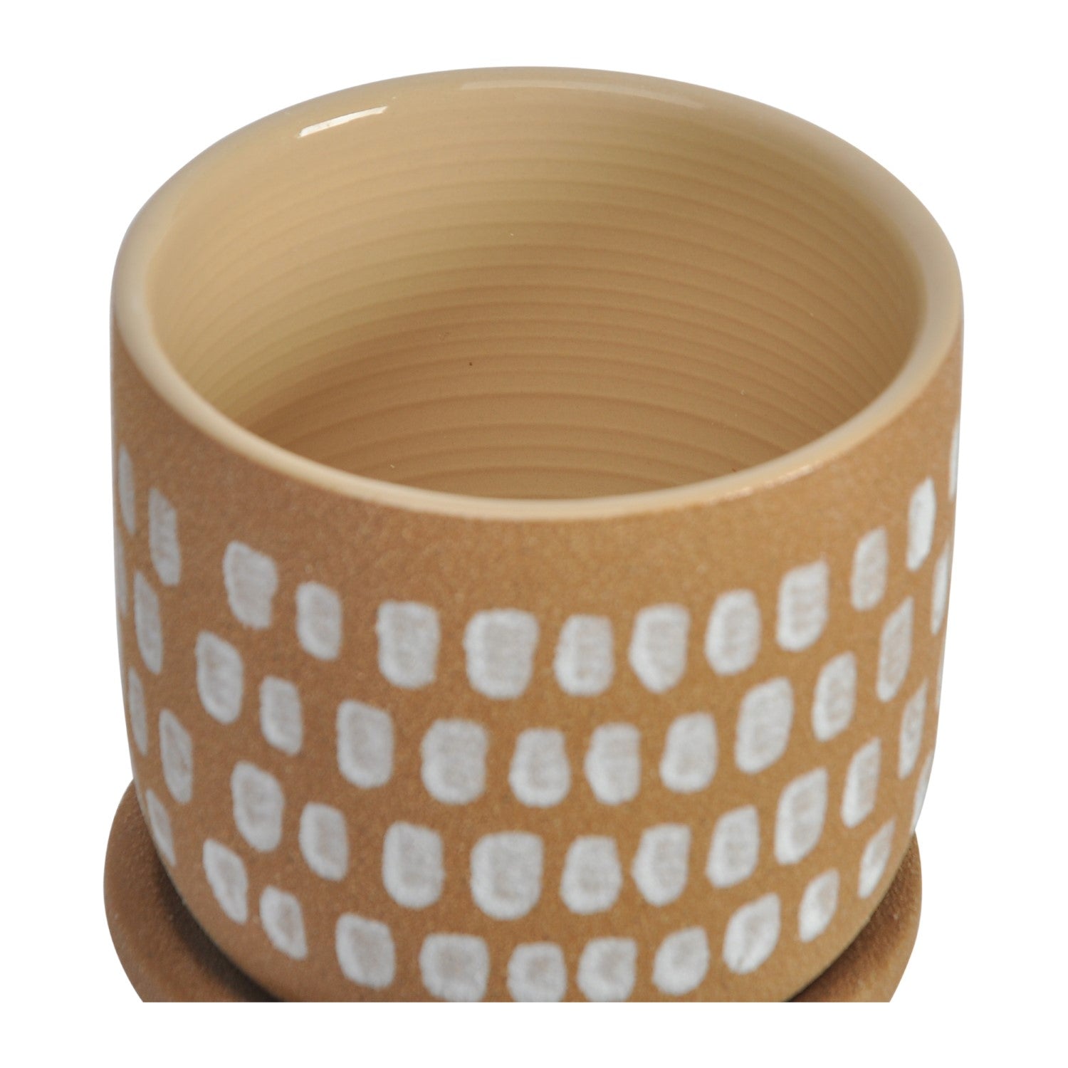 Botanical Planter 5.75In Natural 3