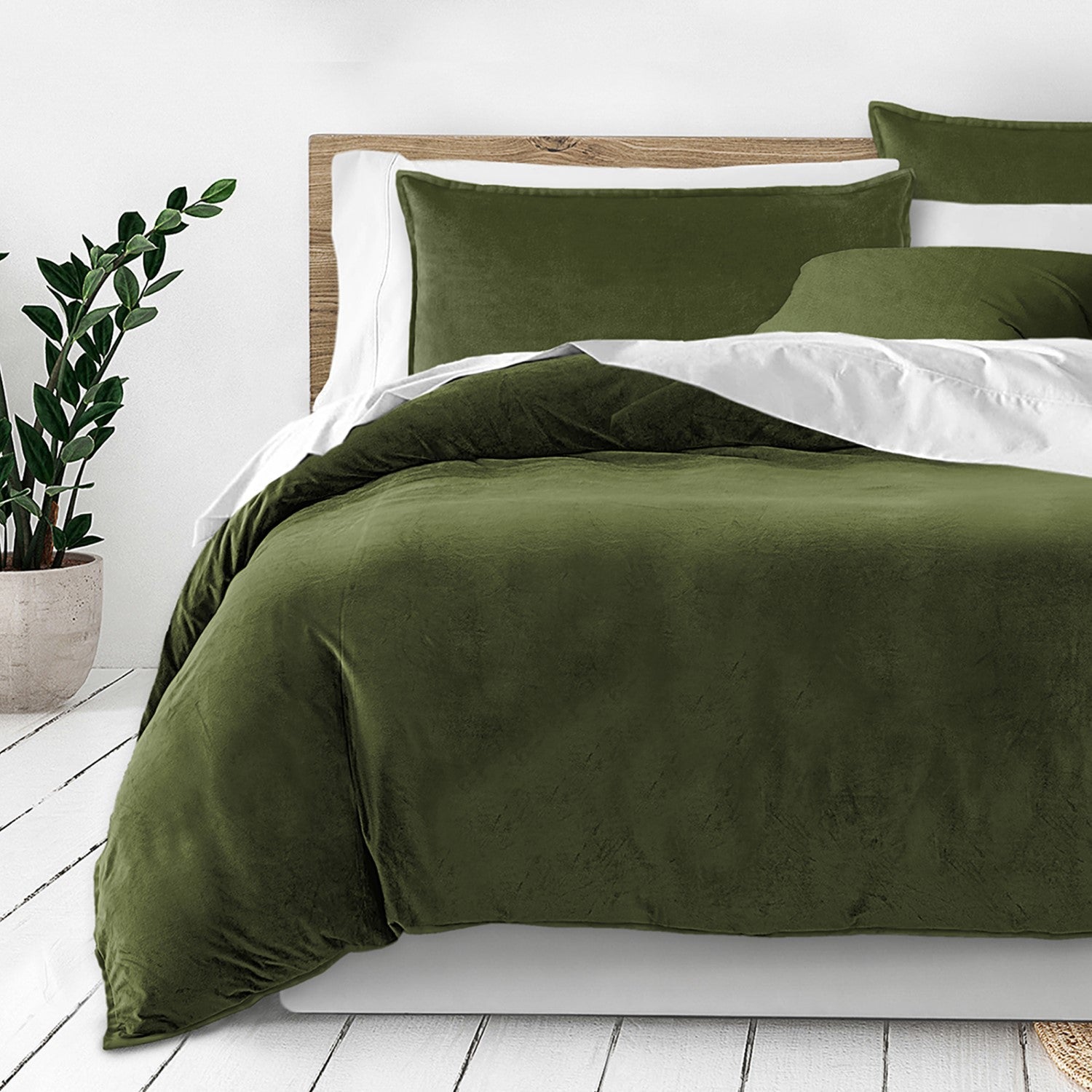 Vanessa Aloe Bedding 1