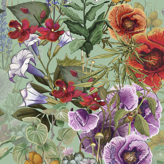 Sample The War On Plants Wallpaper in Mint/Multi