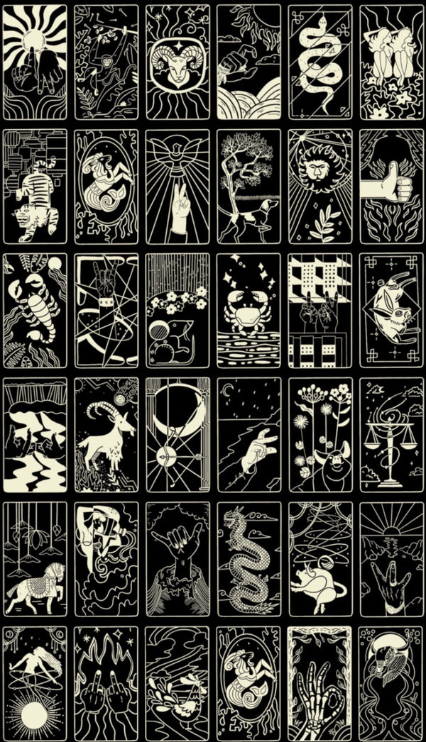 What's Your Sign Wallpaper in Black/Off-White