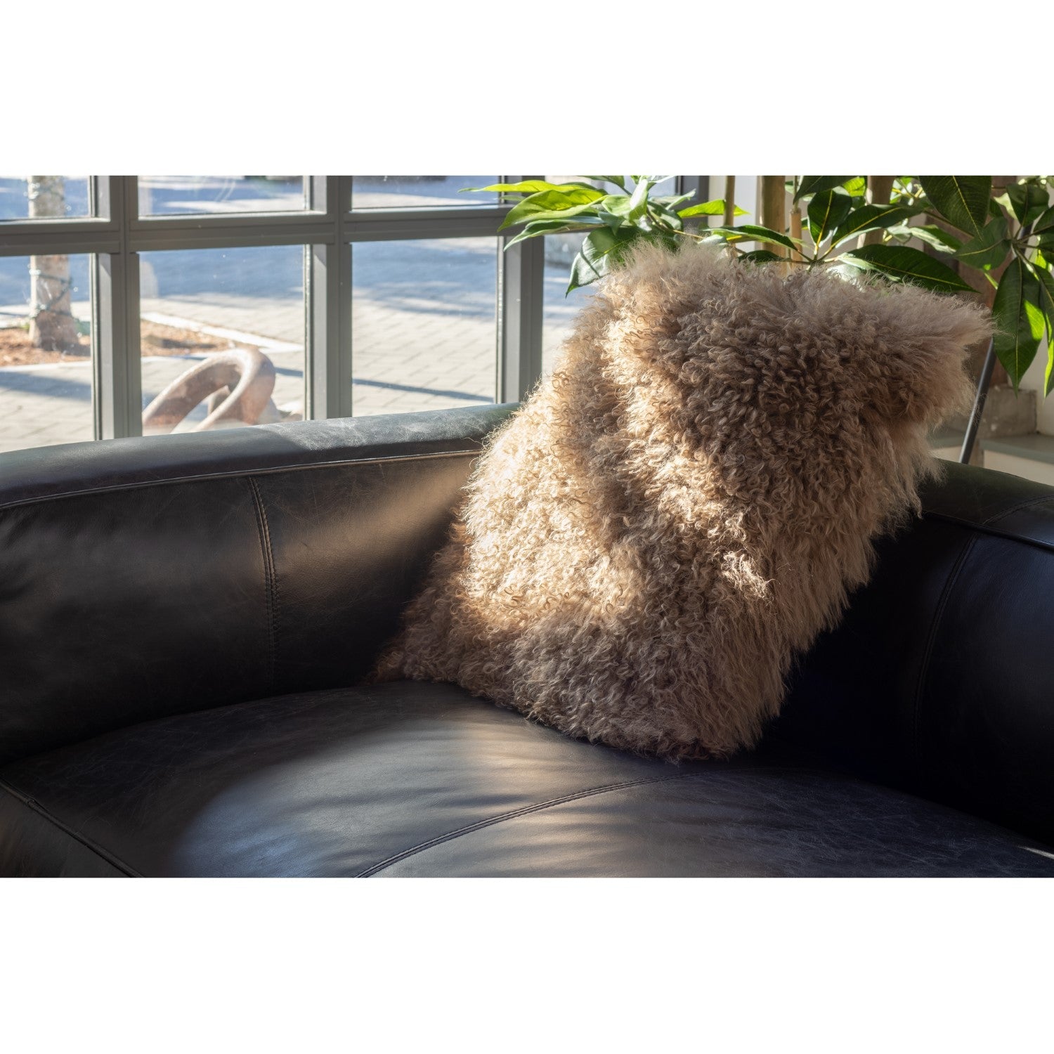 Lamb Pillows 19