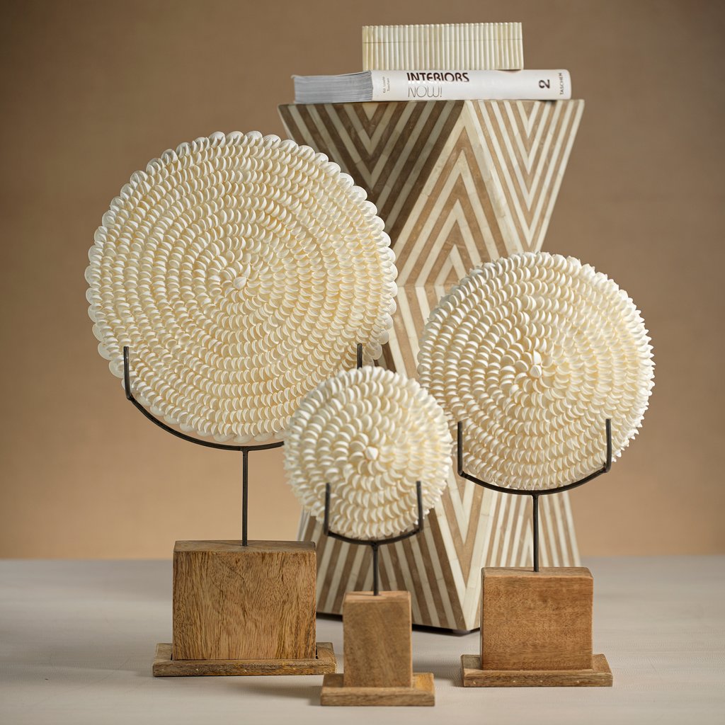 natural clamrose sea shells on wood stand 13 ncx 3009 2