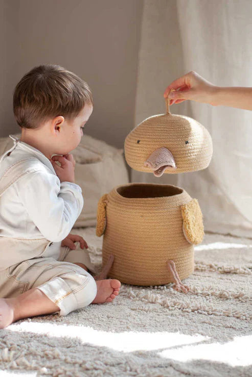 Charlie The Chicken Basket 11