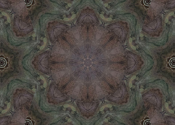 generated-preview-0