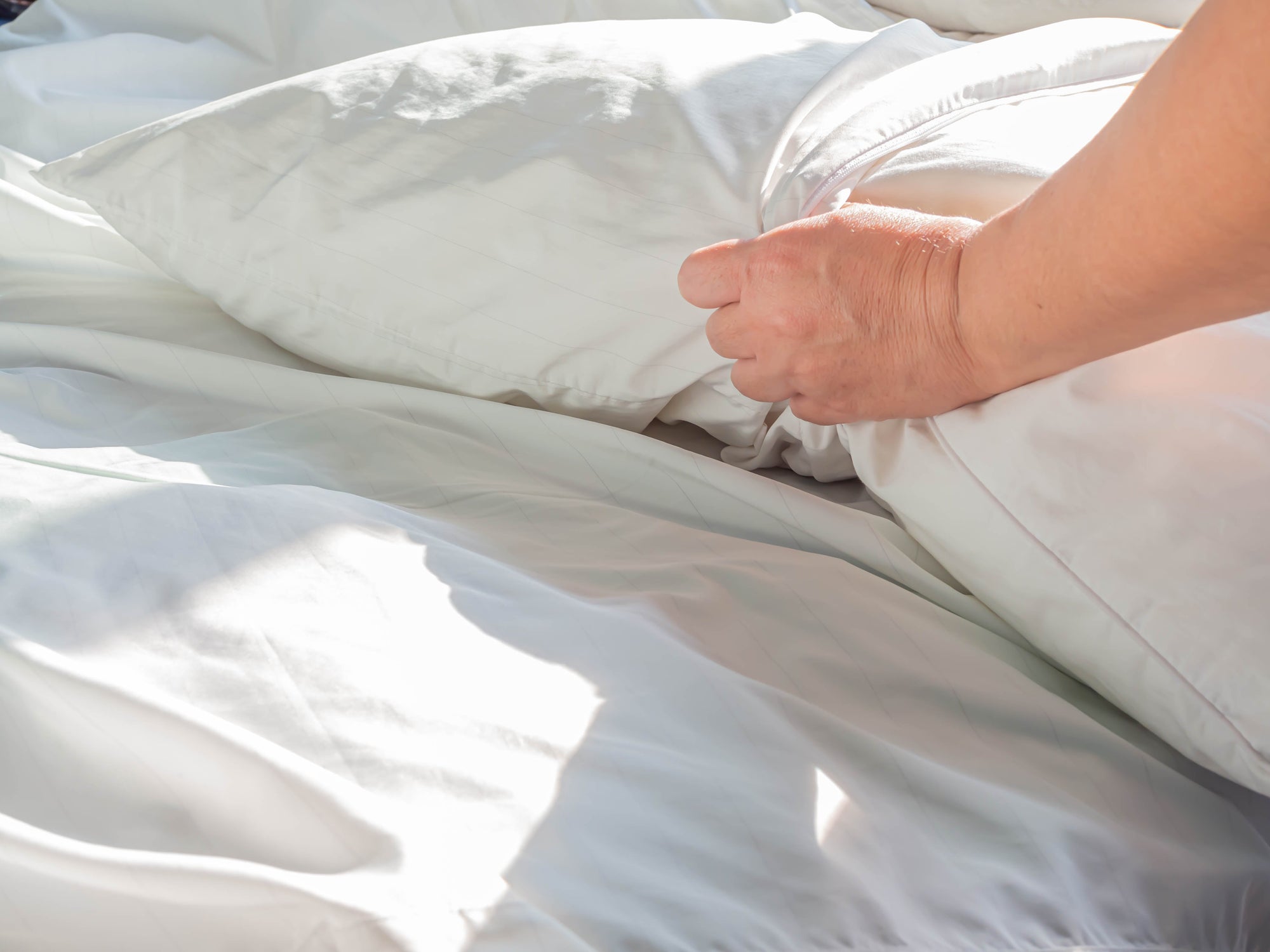 Pillow Protectors Ppds1002 3