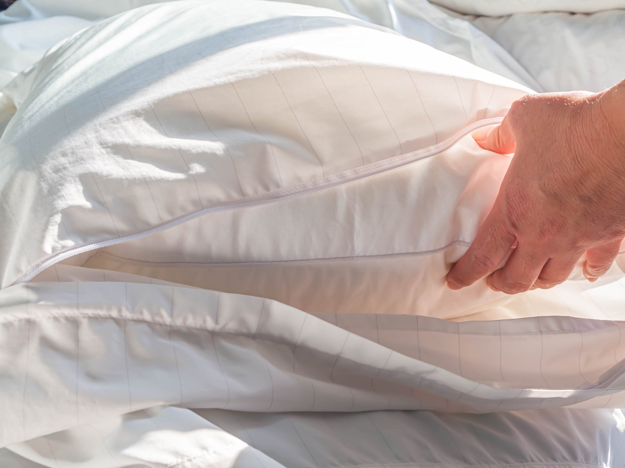 Pillow Protectors Ppds1002 2