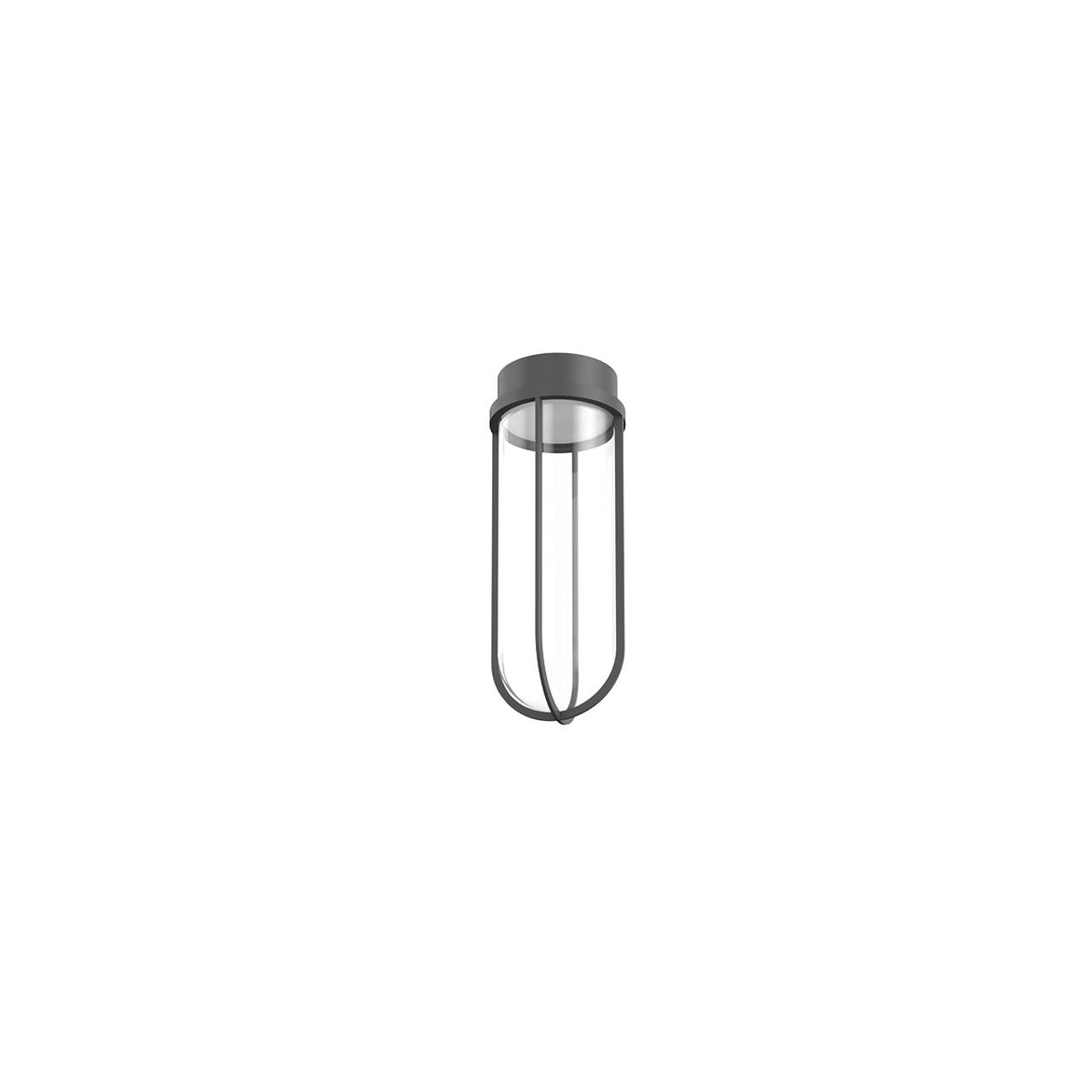 In Vitro Outdoor Ceiling Light