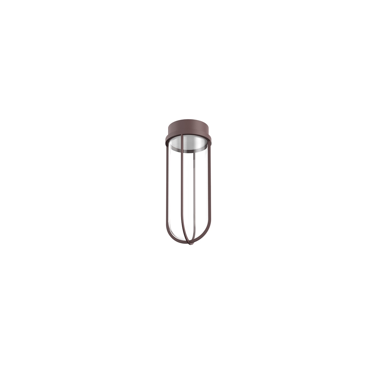 In Vitro Outdoor Ceiling Light