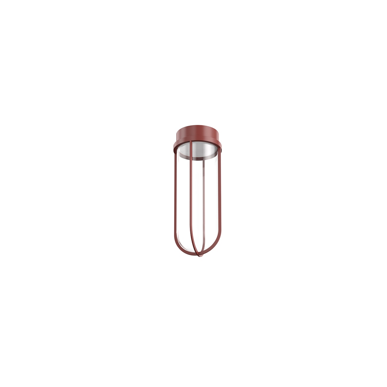 In Vitro Outdoor Ceiling Light