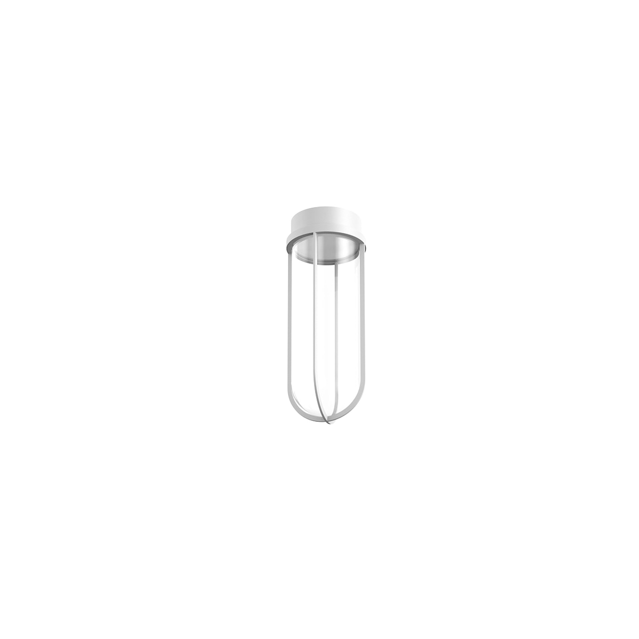 In Vitro Outdoor Ceiling Light