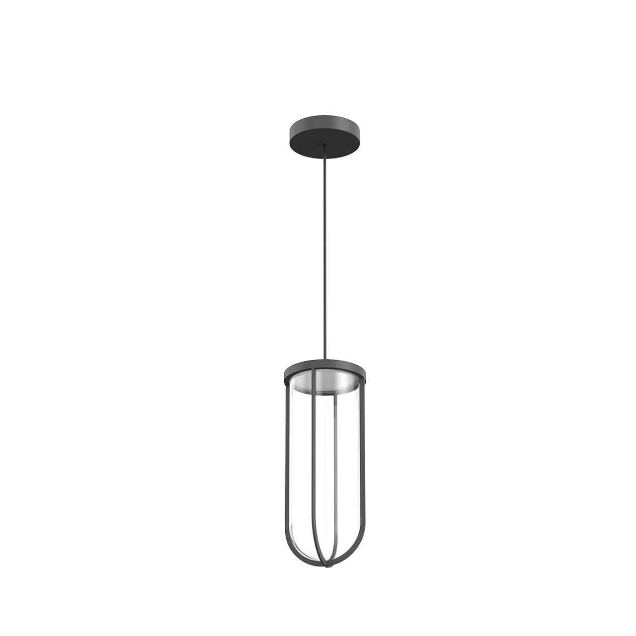 In Vitro Suspension Outdoor Lantern