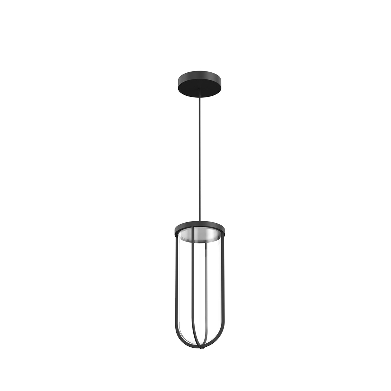 In Vitro Suspension Outdoor Lantern