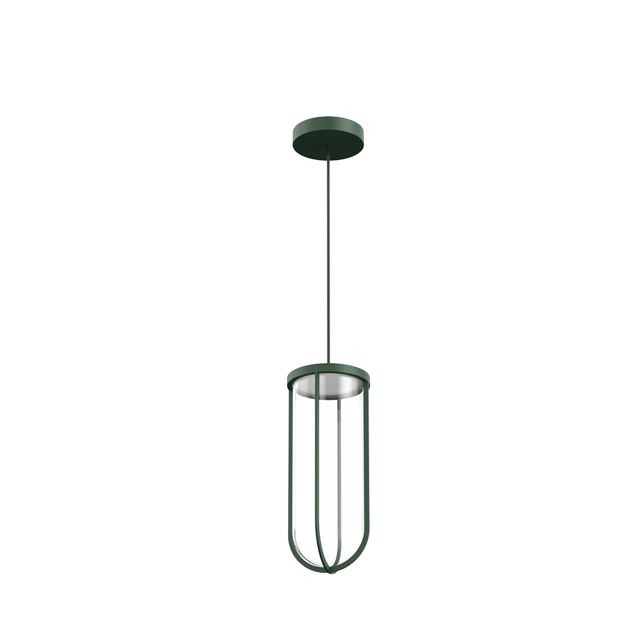 In Vitro Suspension Outdoor Lantern