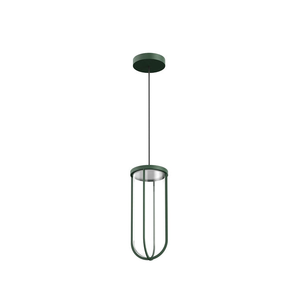 In Vitro Suspension Outdoor Lantern
