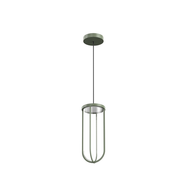 In Vitro Suspension Outdoor Lantern