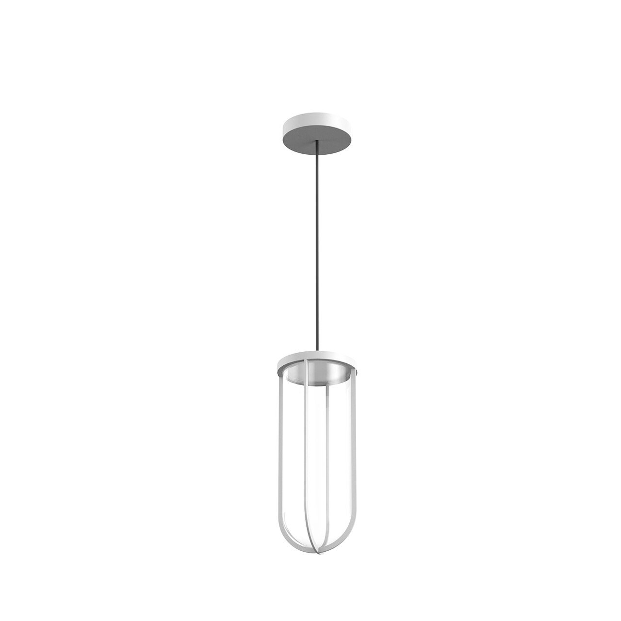 In Vitro Suspension Outdoor Lantern